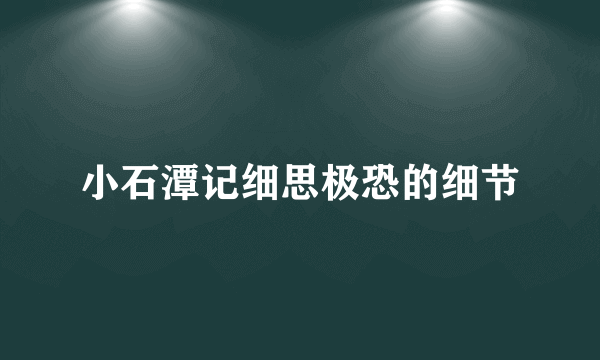 小石潭记细思极恐的细节