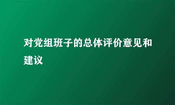 对党组班子的总体评价意见和建议