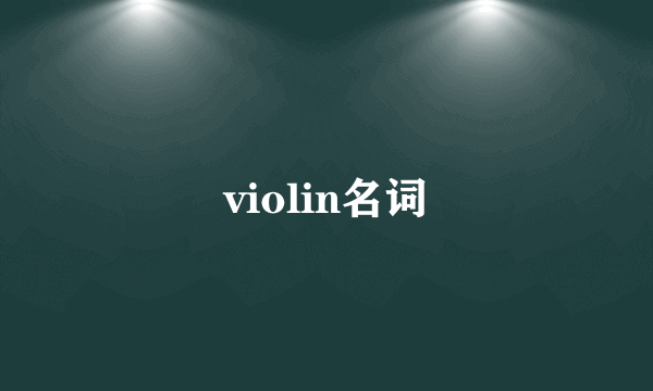 violin名词