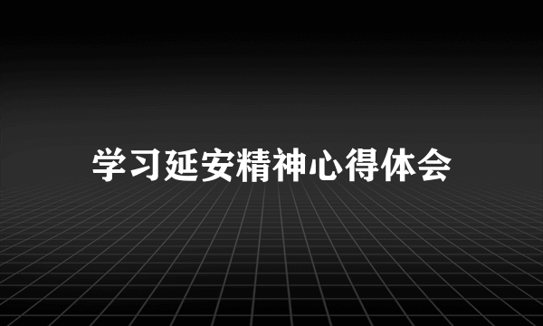 学习延安精神心得体会