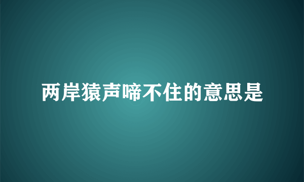两岸猿声啼不住的意思是