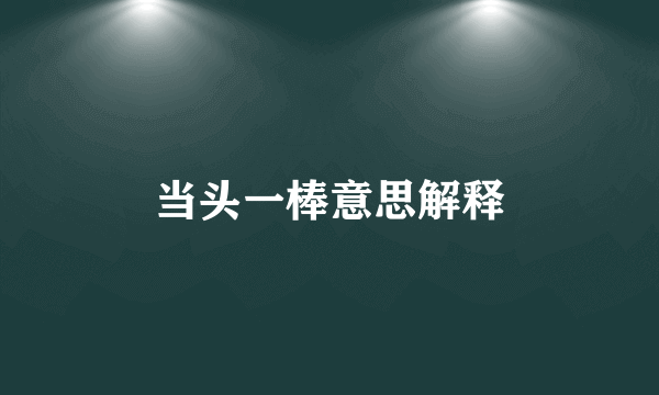 当头一棒意思解释