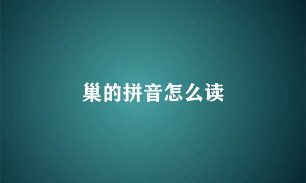 巢的拼音怎么读