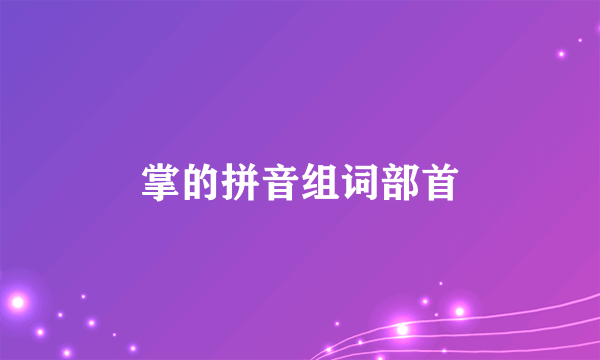 掌的拼音组词部首
