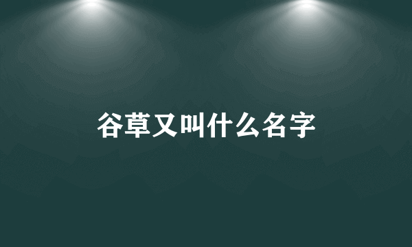 谷草又叫什么名字