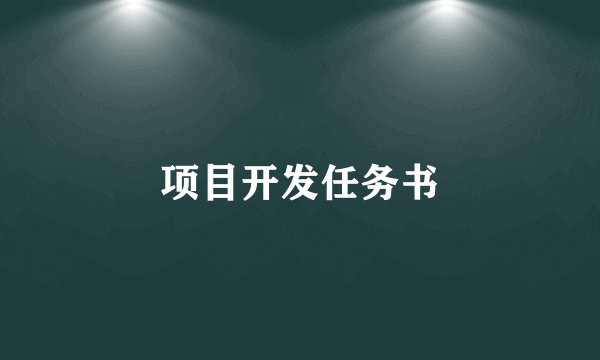 项目开发任务书