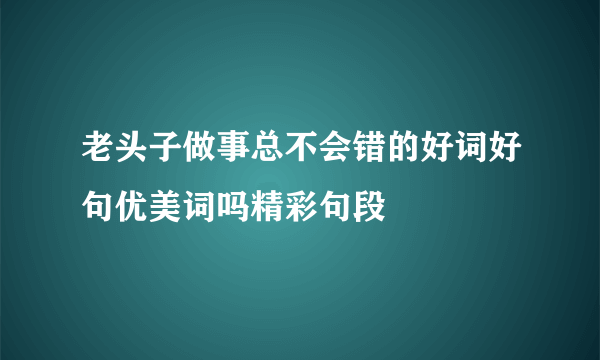 老头子做事总不会错的好词好句优美词吗精彩句段