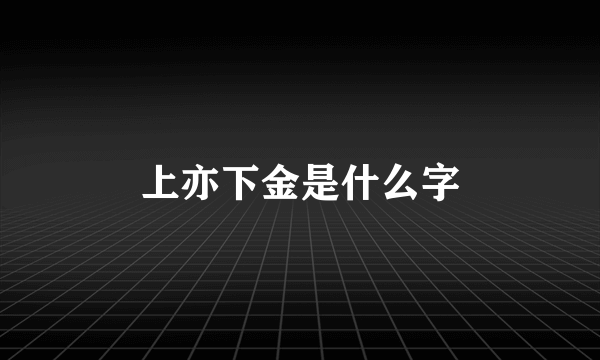 上亦下金是什么字