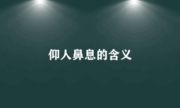 仰人鼻息的含义