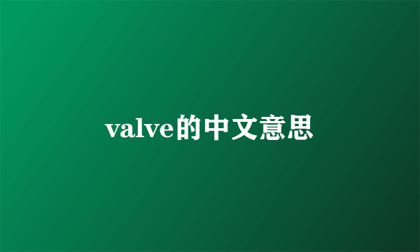 valve的中文意思