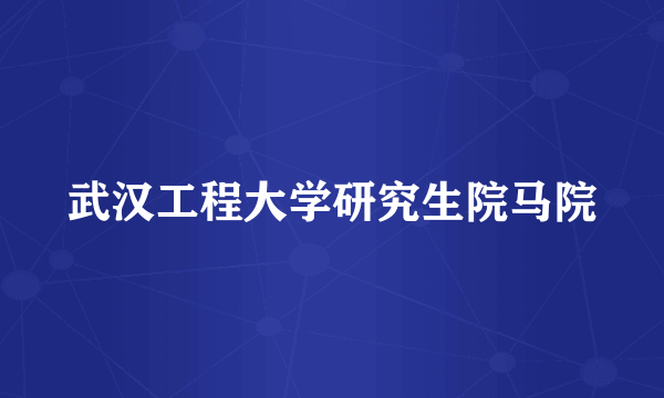 武汉工程大学研究生院马院