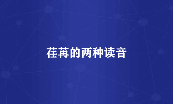 荏苒的两种读音