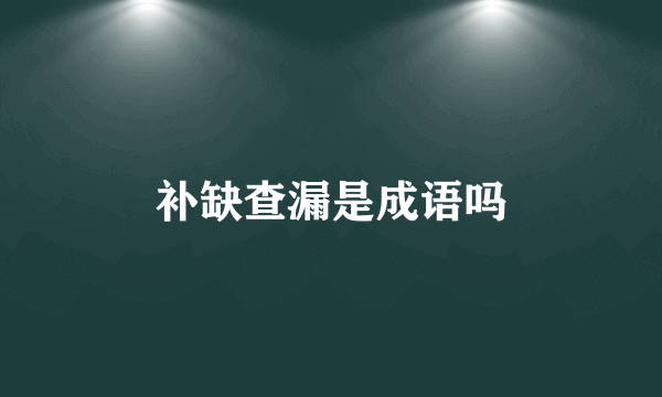 补缺查漏是成语吗