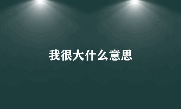 我很大什么意思