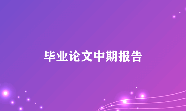 毕业论文中期报告