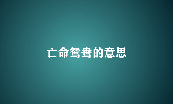 亡命鸳鸯的意思