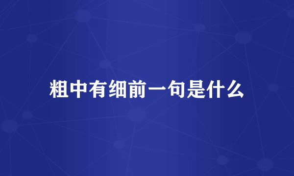 粗中有细前一句是什么