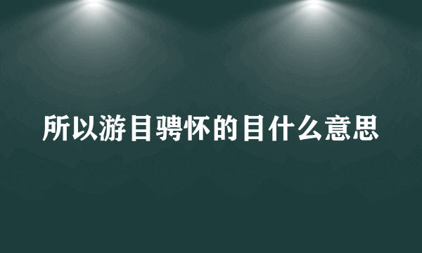 所以游目骋怀的目什么意思