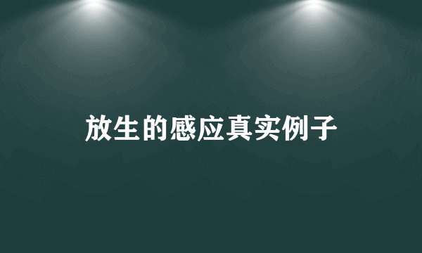 放生的感应真实例子