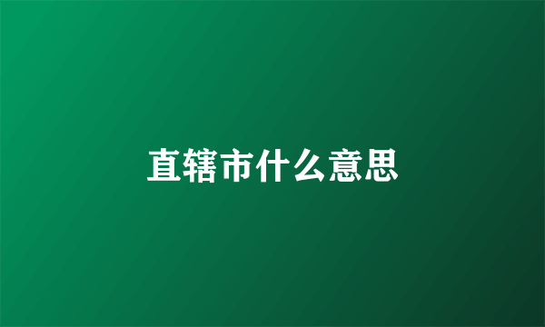 直辖市什么意思