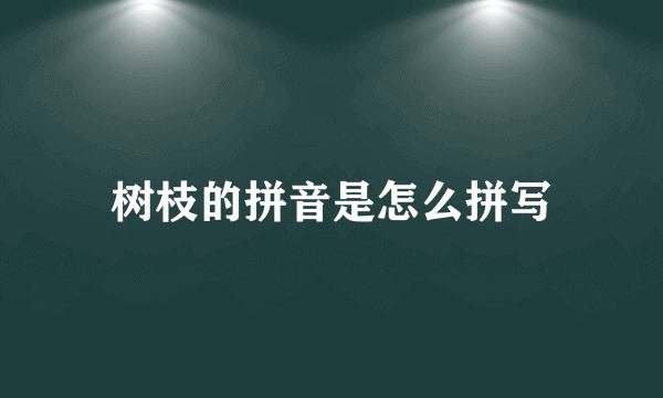 树枝的拼音是怎么拼写