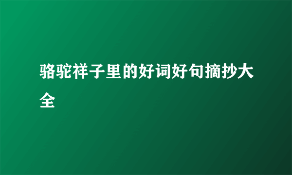 骆驼祥子里的好词好句摘抄大全