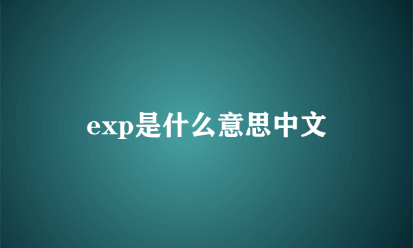 exp是什么意思中文