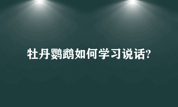 牡丹鹦鹉如何学习说话?