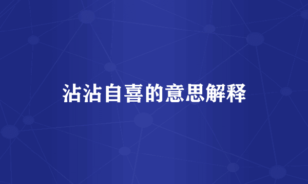 沾沾自喜的意思解释