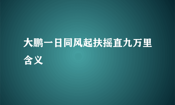大鹏一日同风起扶摇直九万里含义