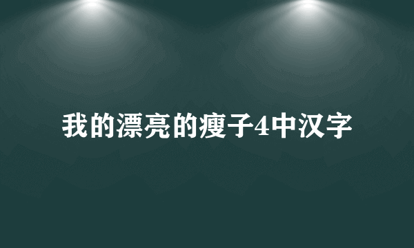 我的漂亮的瘦子4中汉字
