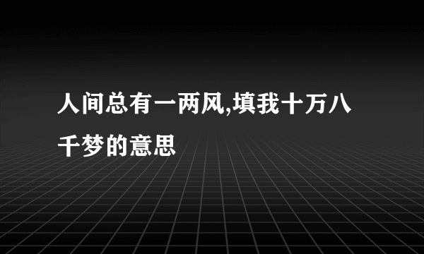 人间总有一两风,填我十万八千梦的意思