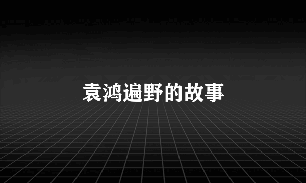 袁鸿遍野的故事