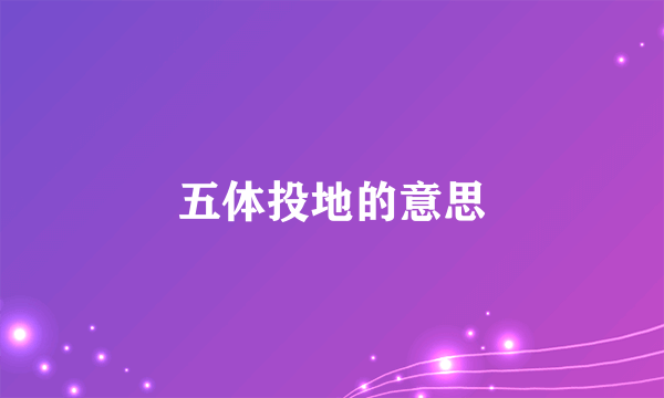 五体投地的意思