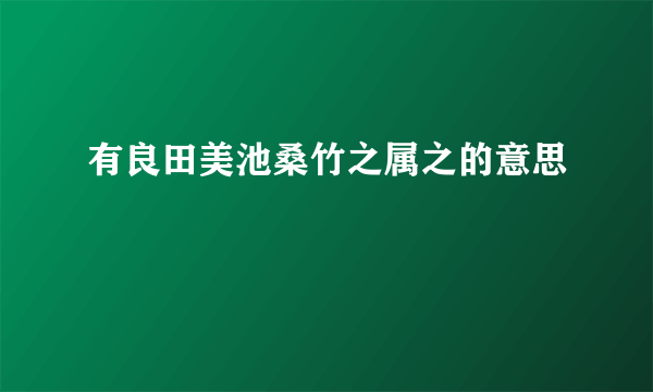 有良田美池桑竹之属之的意思