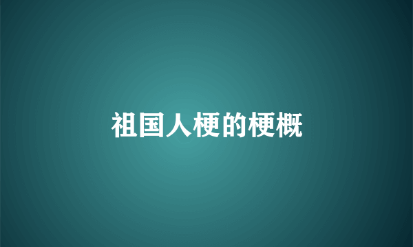 祖国人梗的梗概