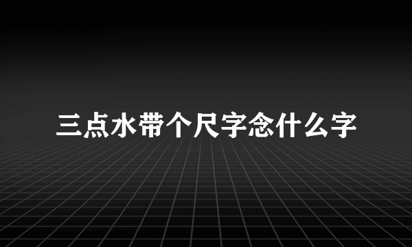 三点水带个尺字念什么字