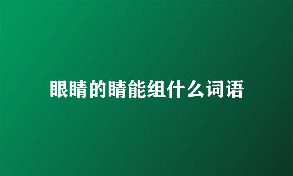 眼睛的睛能组什么词语