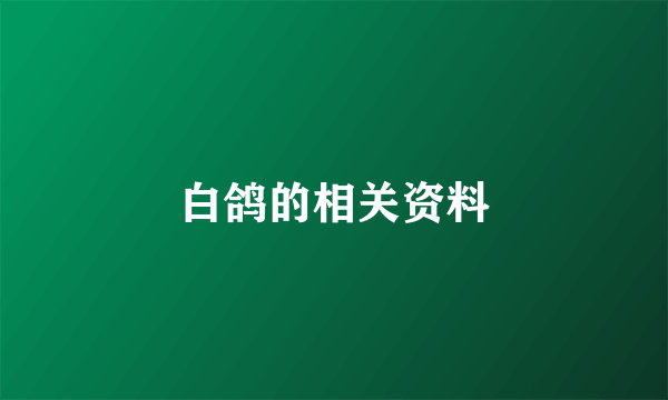 白鸽的相关资料