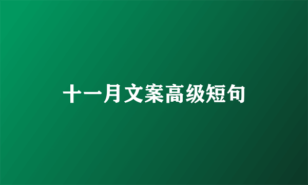 十一月文案高级短句