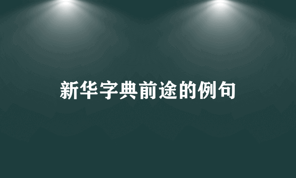 新华字典前途的例句
