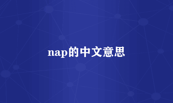 nap的中文意思