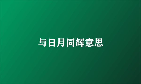 与日月同辉意思