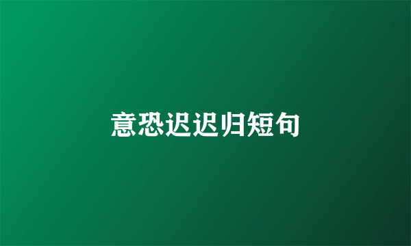 意恐迟迟归短句