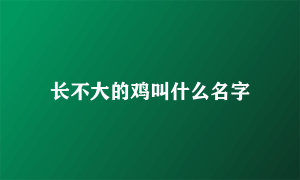 长不大的鸡叫什么名字