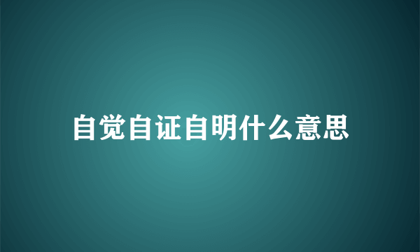 自觉自证自明什么意思