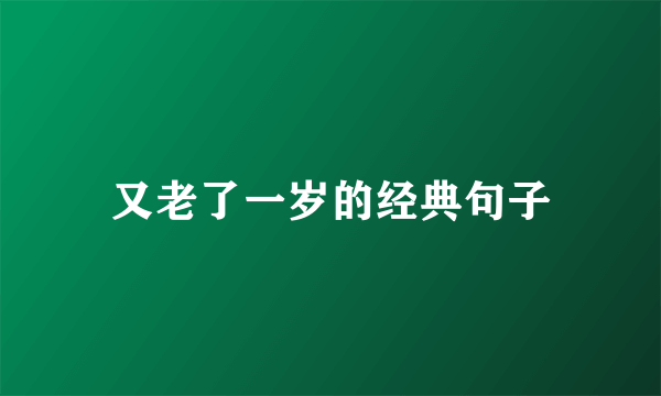又老了一岁的经典句子