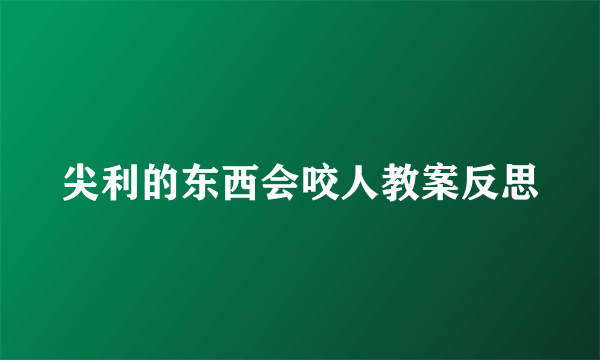 尖利的东西会咬人教案反思