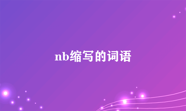 nb缩写的词语