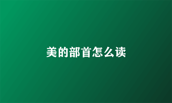 美的部首怎么读